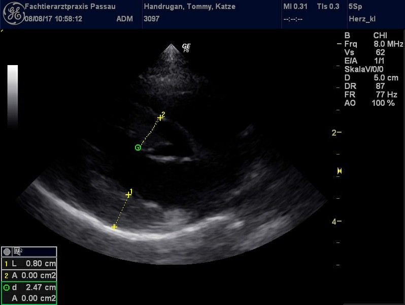 Herzschall 8.8. (1).jpg
