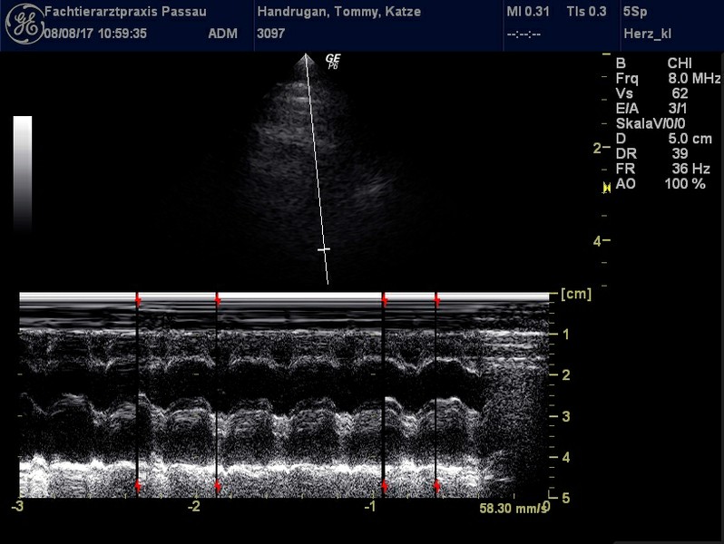 Herzschall 8.8. (3).jpg