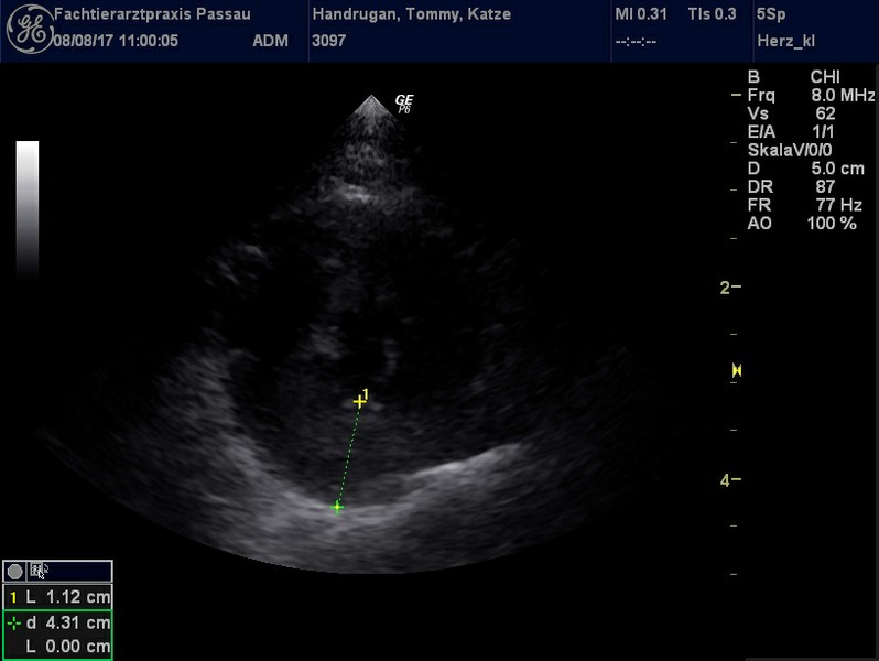 Herzschall 8.8. (4).jpg