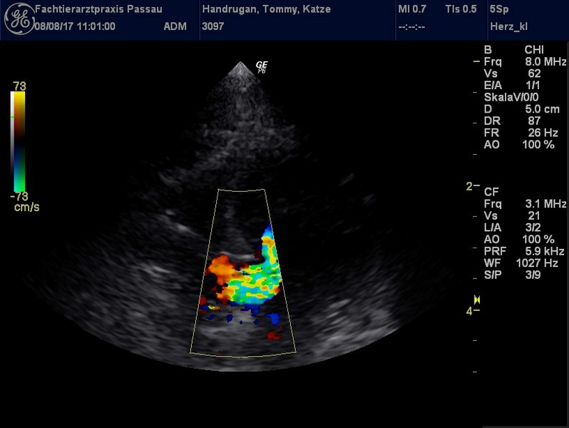 Herzschall 8.8. (6).jpg