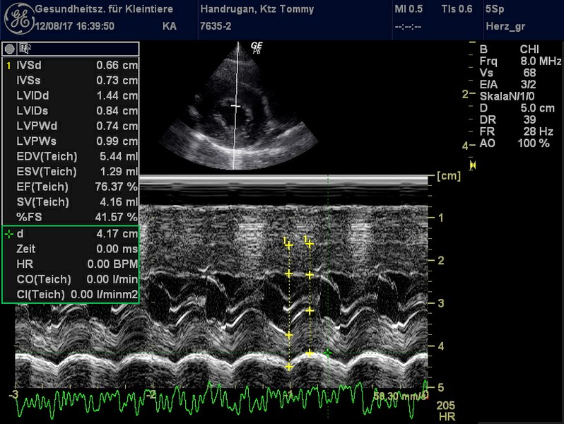 Herzschall 12.8. (1).jpg