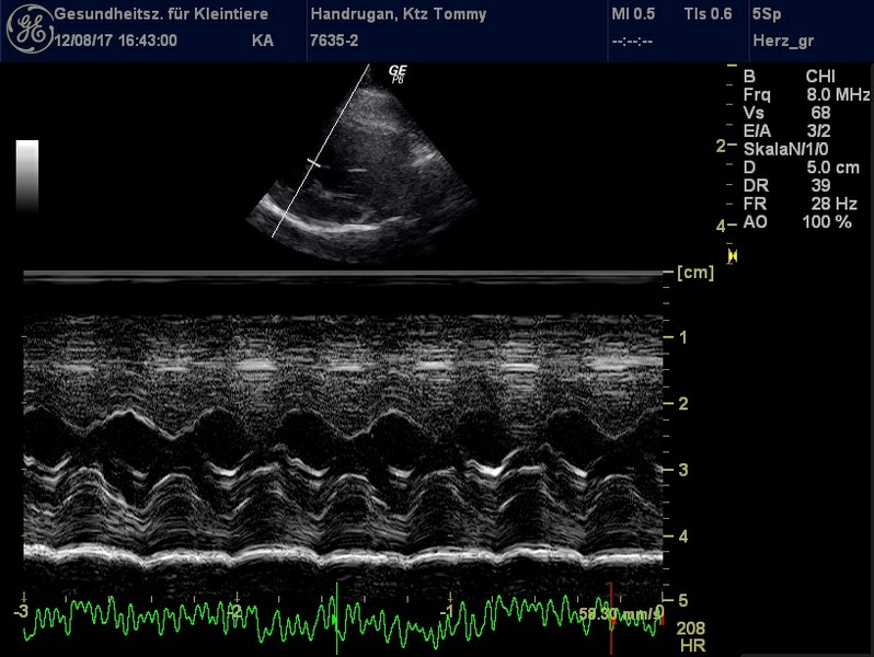 Herzschall 12.8. (2).jpg