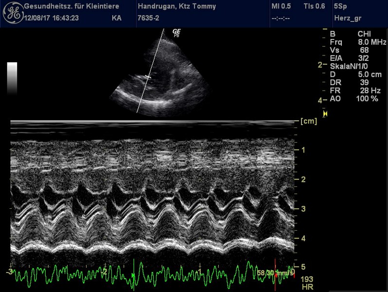 Herzschall 12.8. (4).jpg