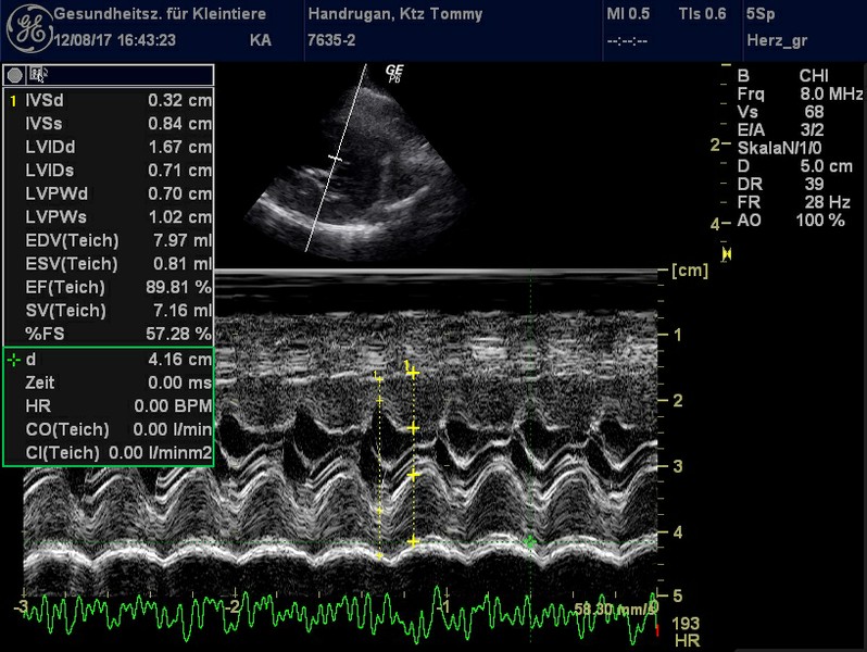 Herzschall 12.8. (5).jpg
