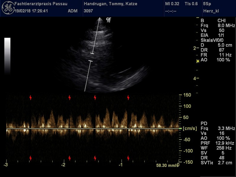 Herzschall 19.2. (3).jpg