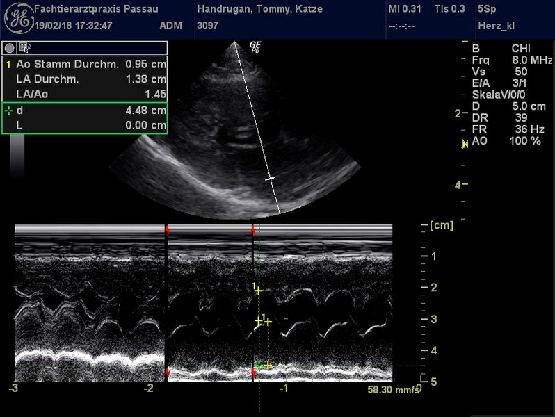 Herzschall 19.2. (4).jpg