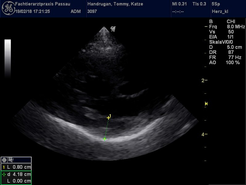 Herzschall 19.2. (10).jpg