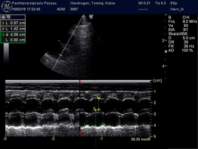 Herzschall 19.2. (12).jpg