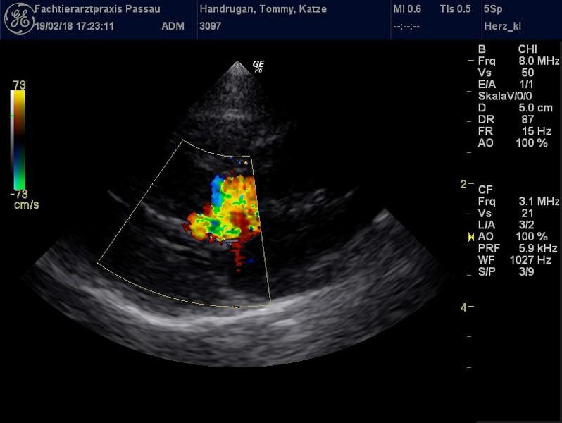 Herzschall 19.2. (13).jpg
