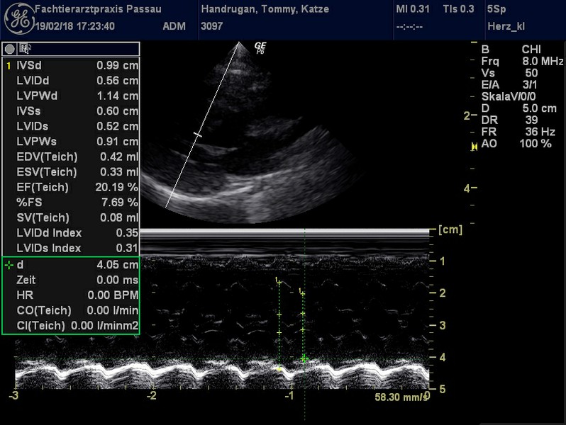 Herzschall 19.2. (14).jpg