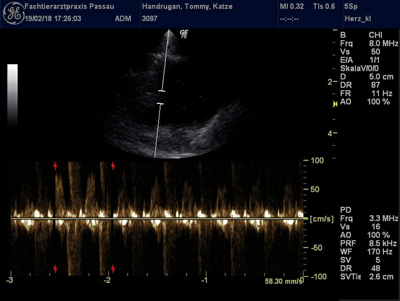 Herzschall 19.2..jpg