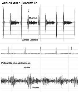 Herzgeräusche: Informationen der Tierkardiologie, Universität