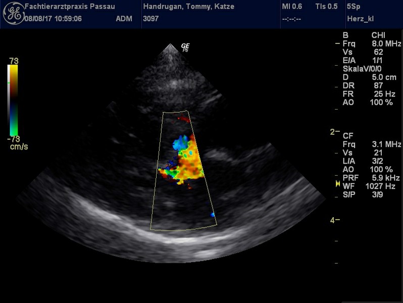 Herzschall 8.8. (2).jpg