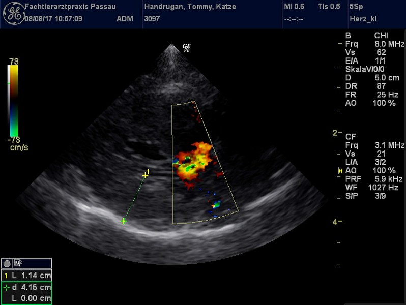 Herzschall 8.8..jpg