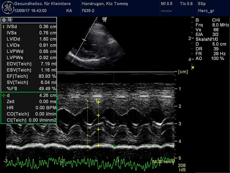 Herzschall 12.8. (3).jpg