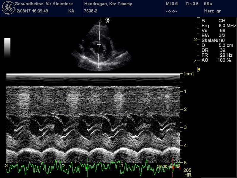 Herzschall 12.8..jpg
