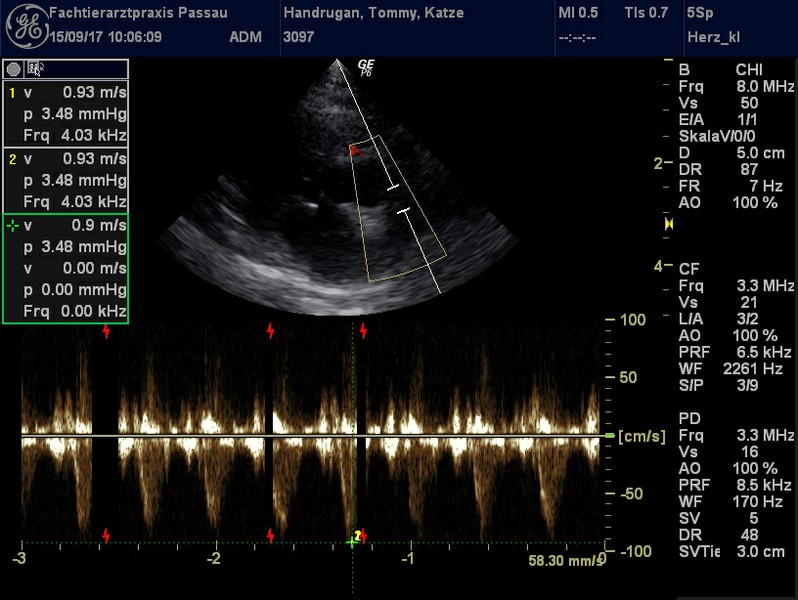 Herzschall 15.9. (6).jpg