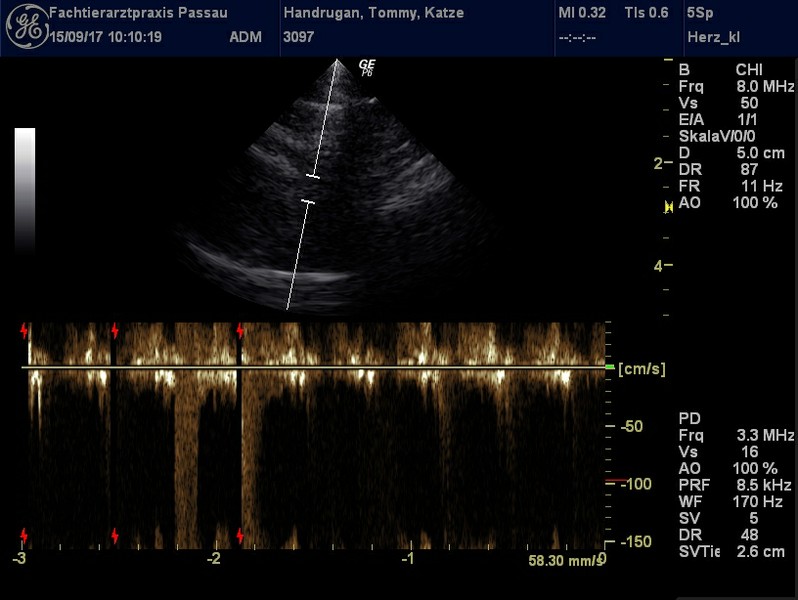 Herzschall 15.9. (10).jpg