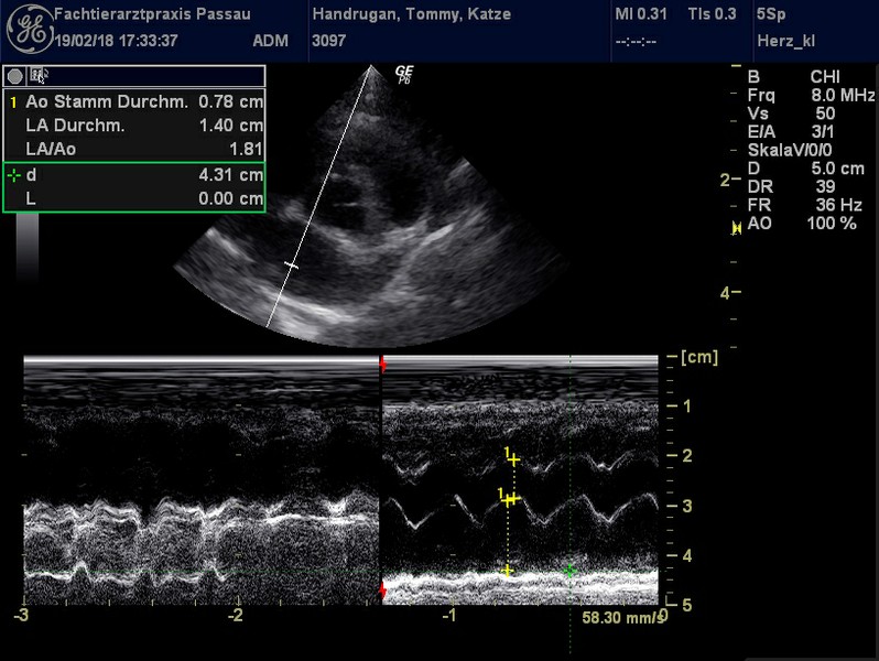 Herzschall 19.2. (7).jpg