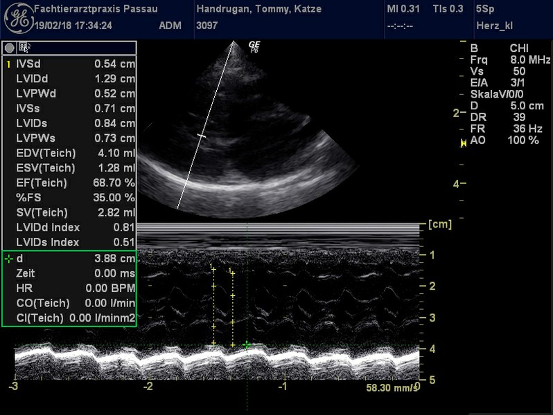 Herzschall 19.2. (9).jpg
