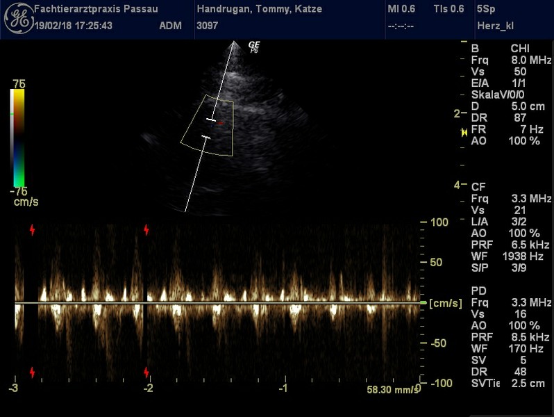 Herzschall 19.2. (15).jpg