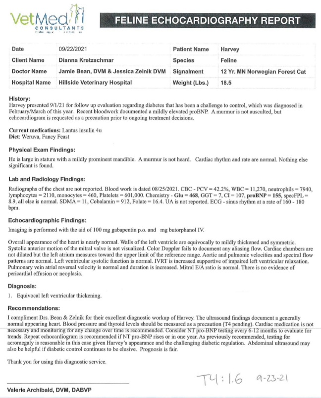 EKG/ECG Report