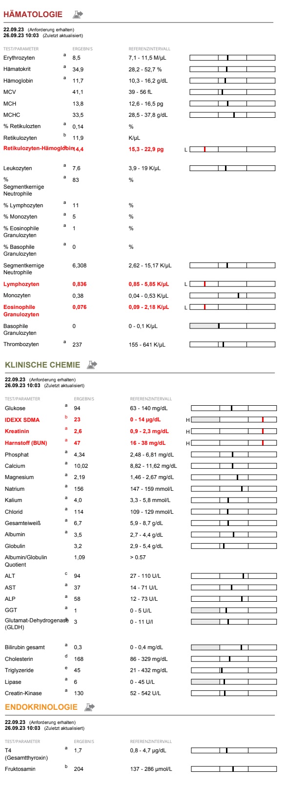 Blutwerte 26.09